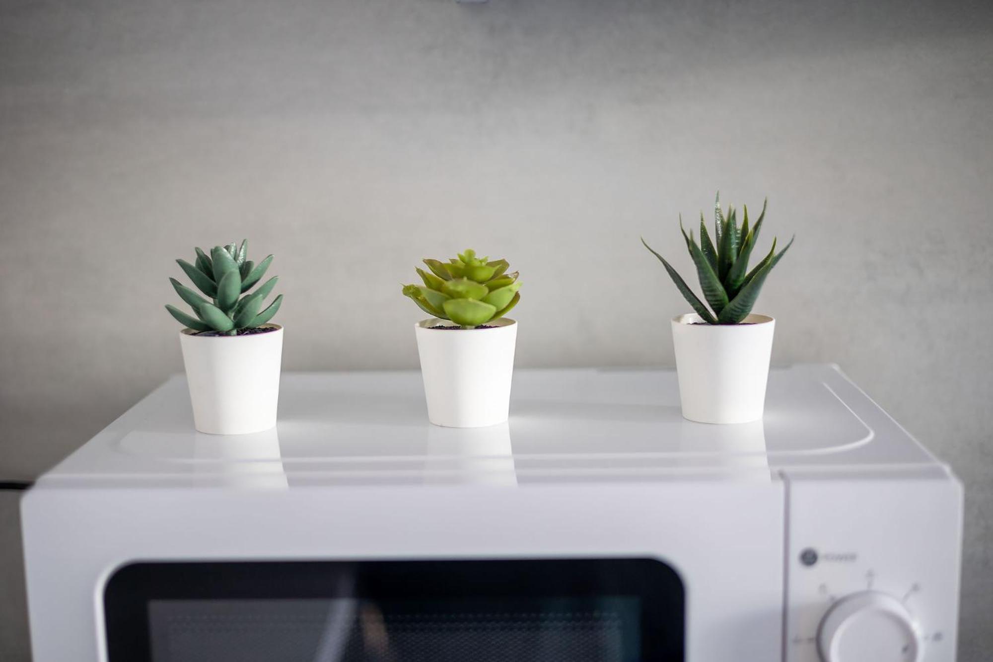 Apartamento Lovely In